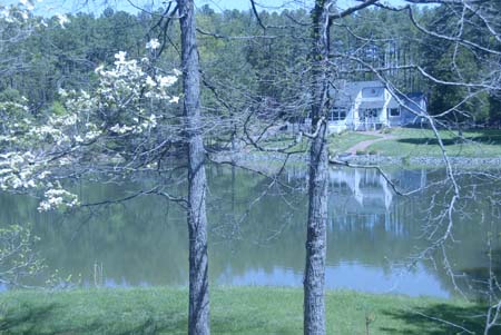 view from deck spring6